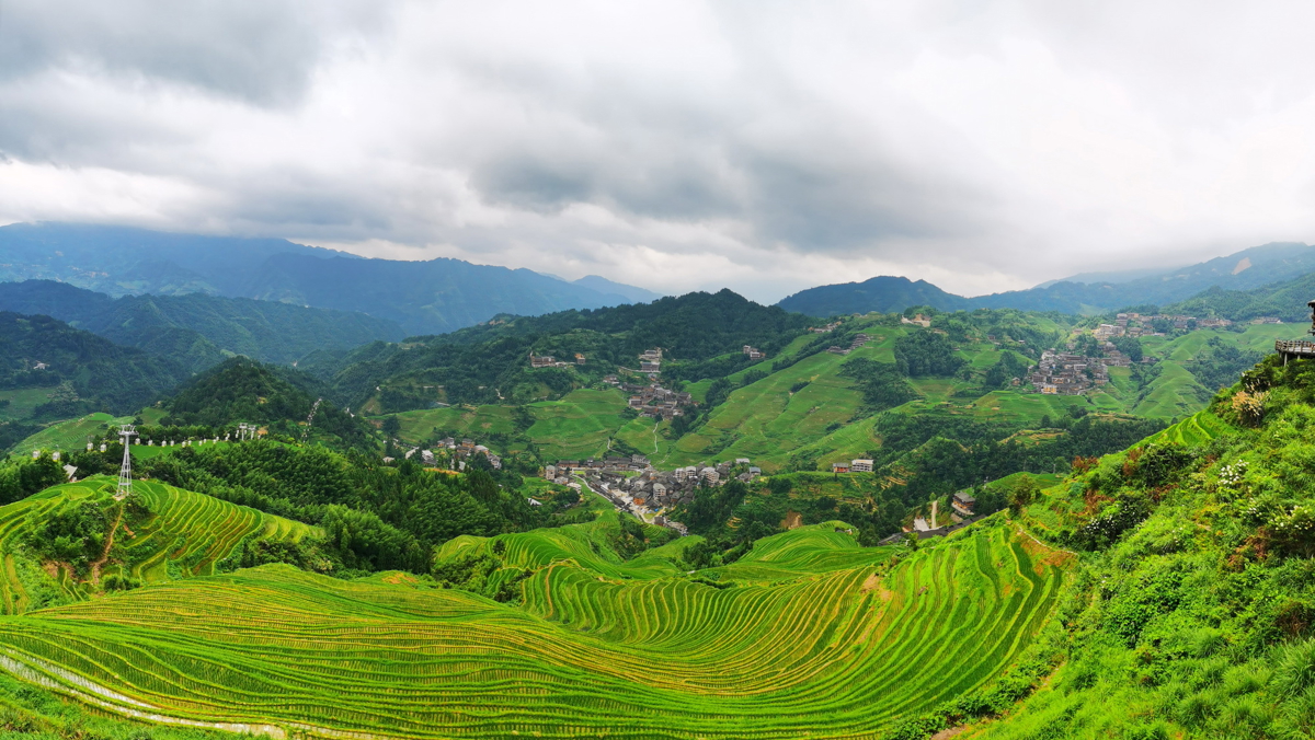 Dragon's Backbone Rice Terraces panoramic view