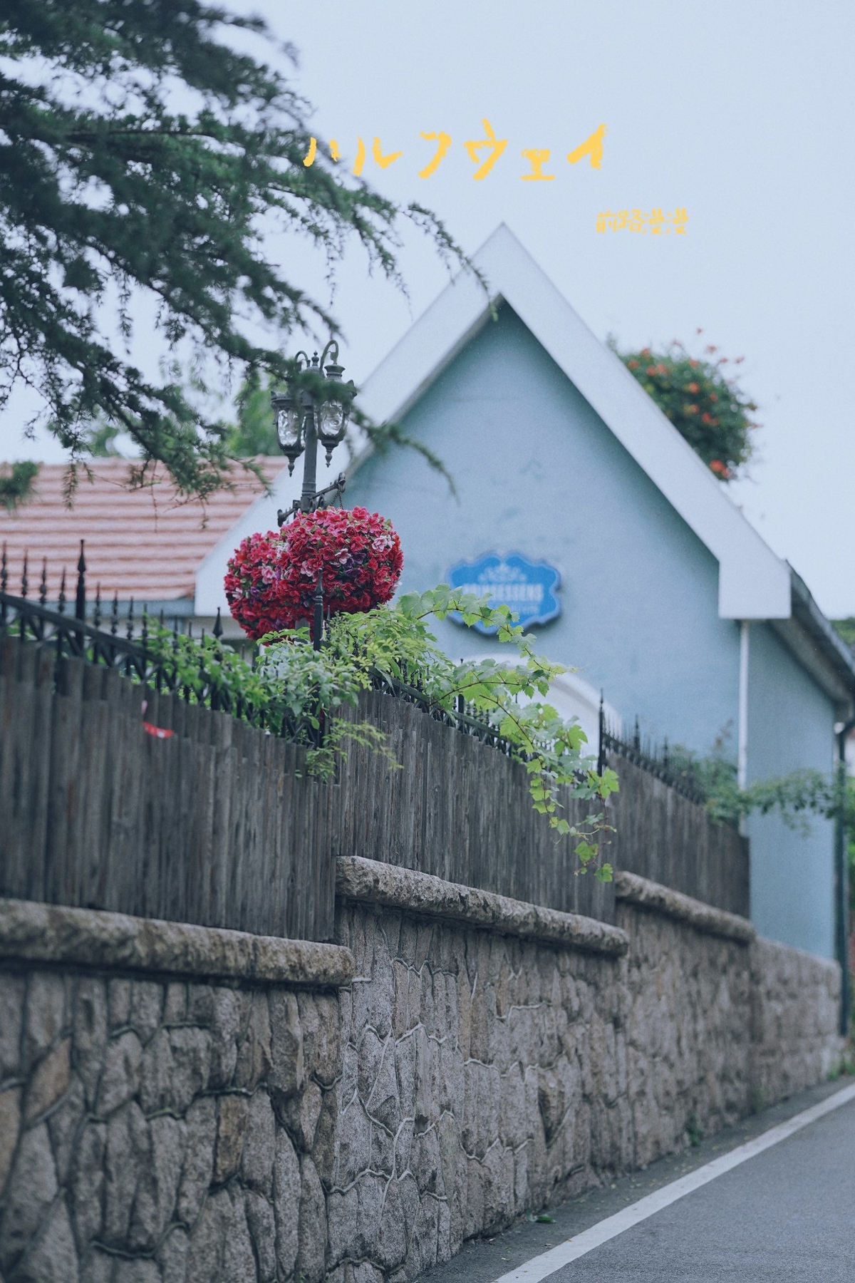 Qingdao coastal scenery