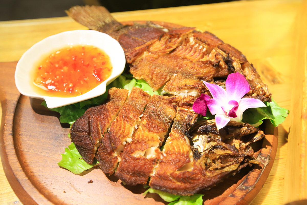 Li Family Surfing Fish