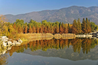 National Botanical Garden (Former Beijing Botanical Garden)