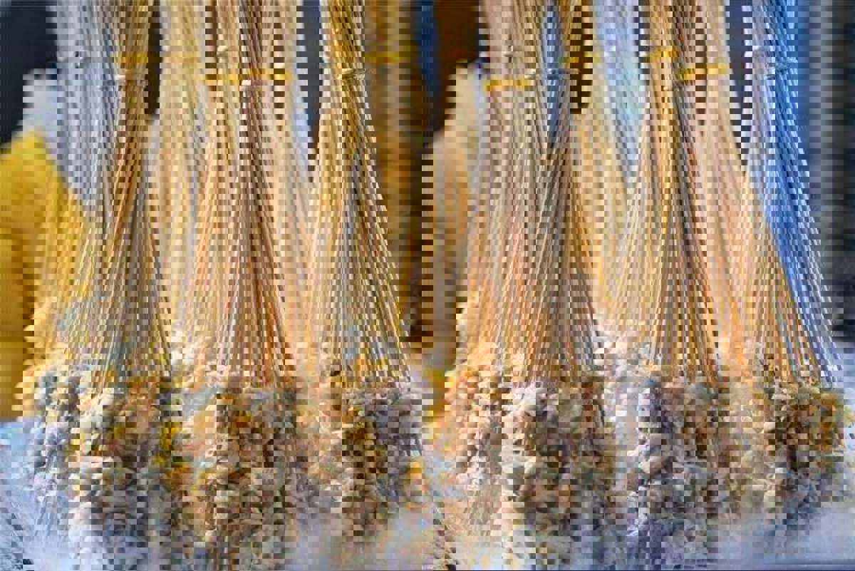 Carp with Fried Noodles dish