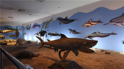 Qujiang Ocean Polar Park