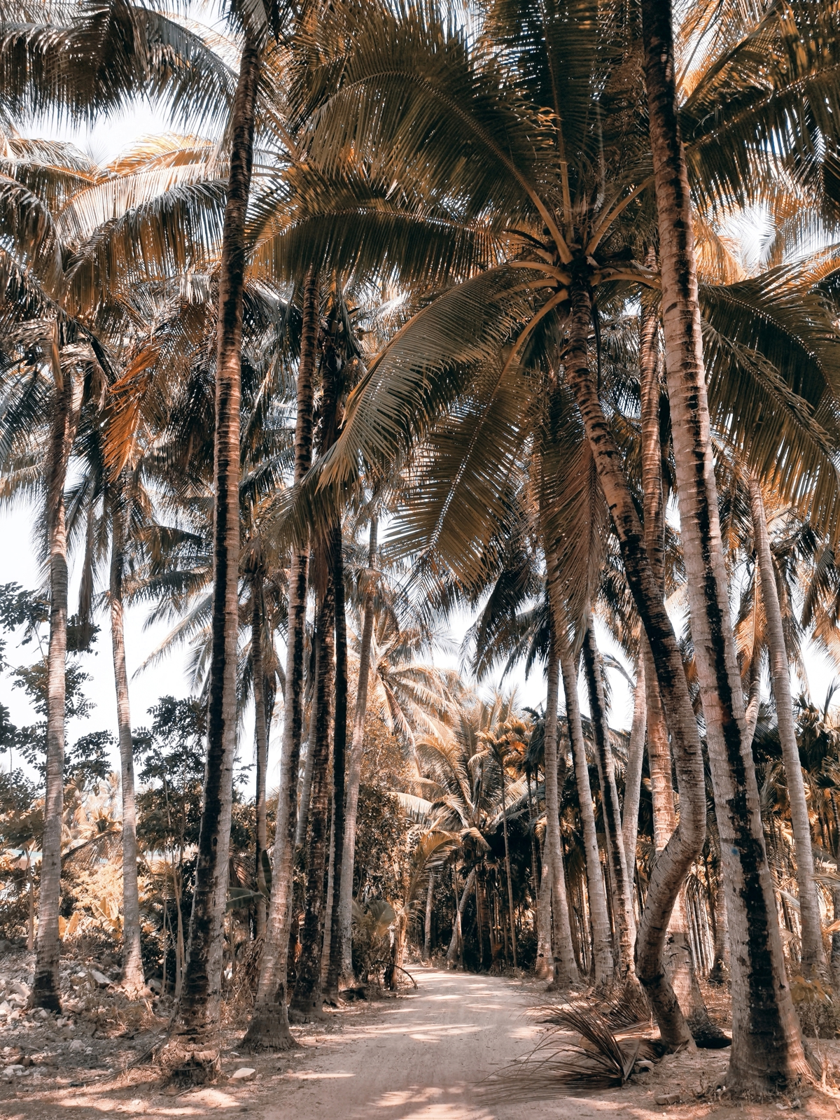 Paddleboarding location