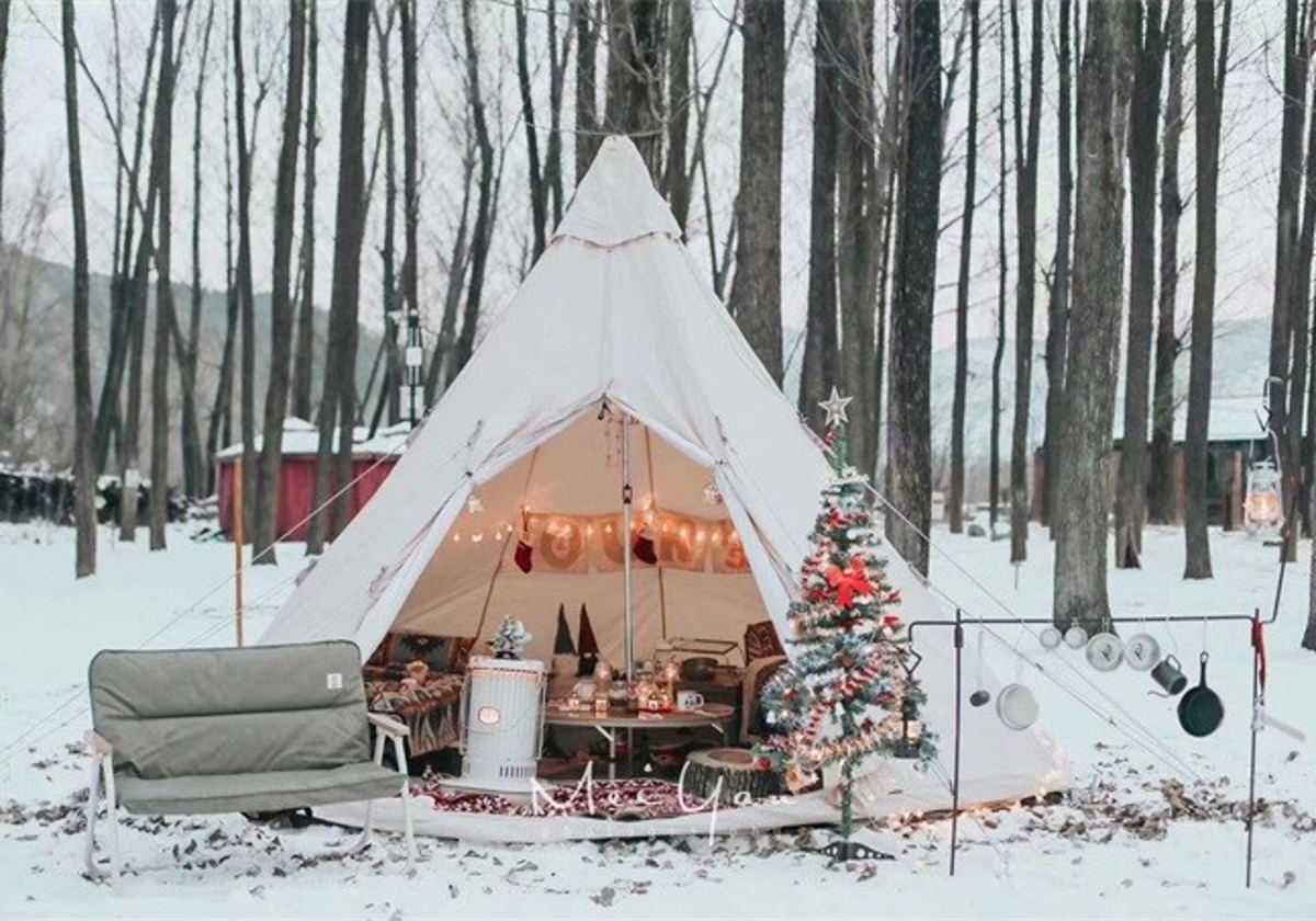 Night sky and camping tents