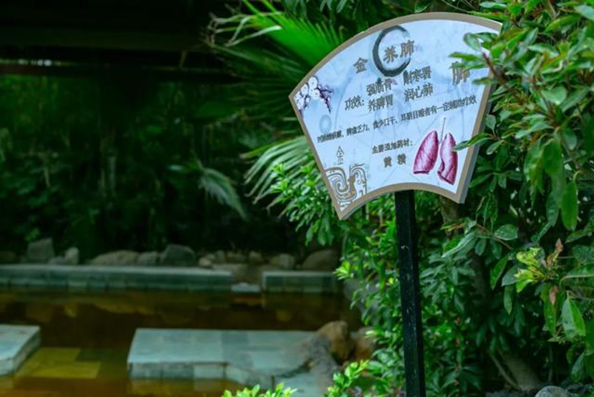 Herbal Medicine Pool