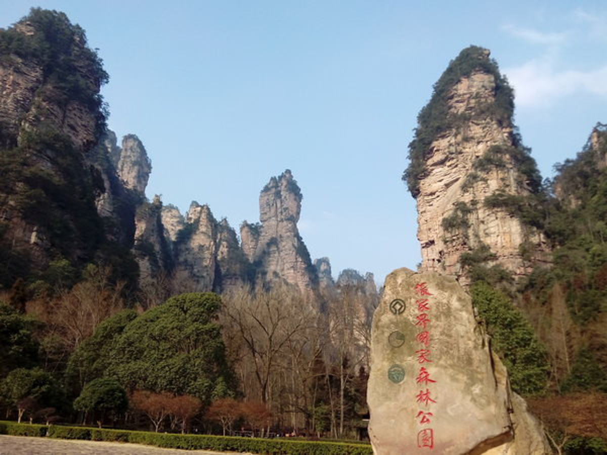 Cute monkey at Golden Whip Stream