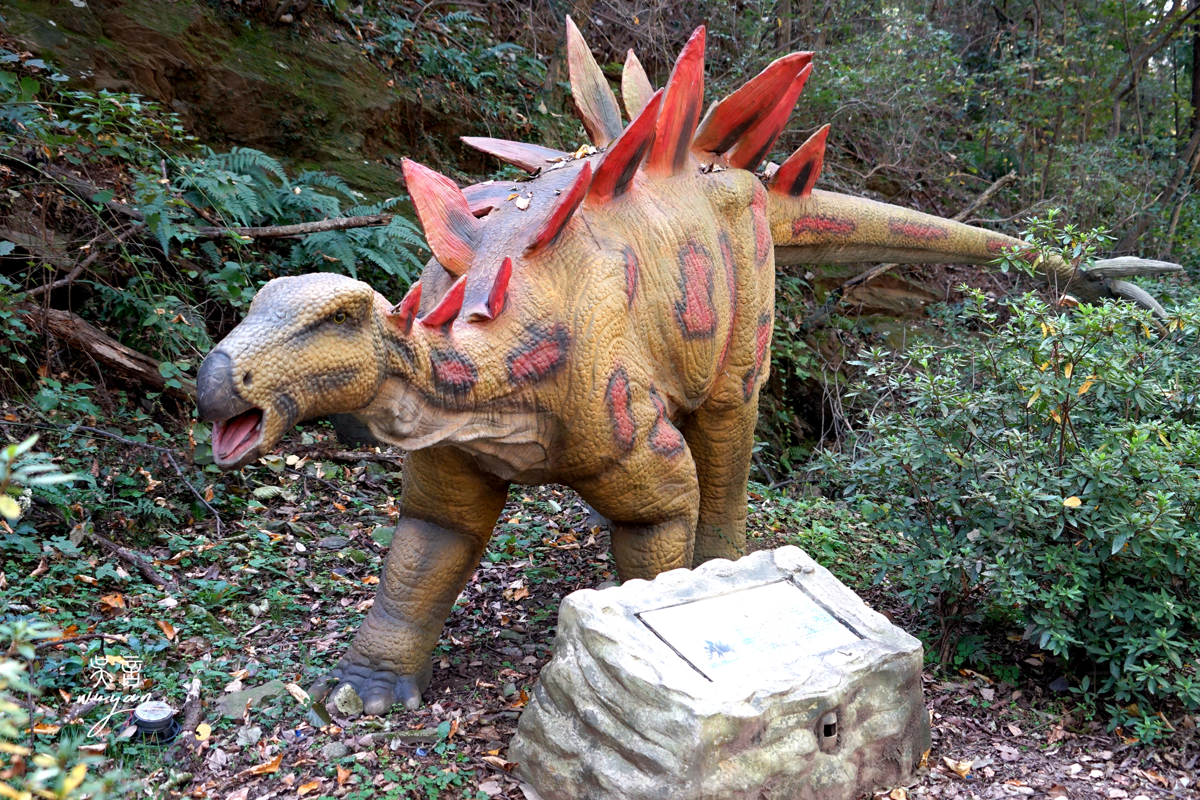 Dinosaur Valley Scenes