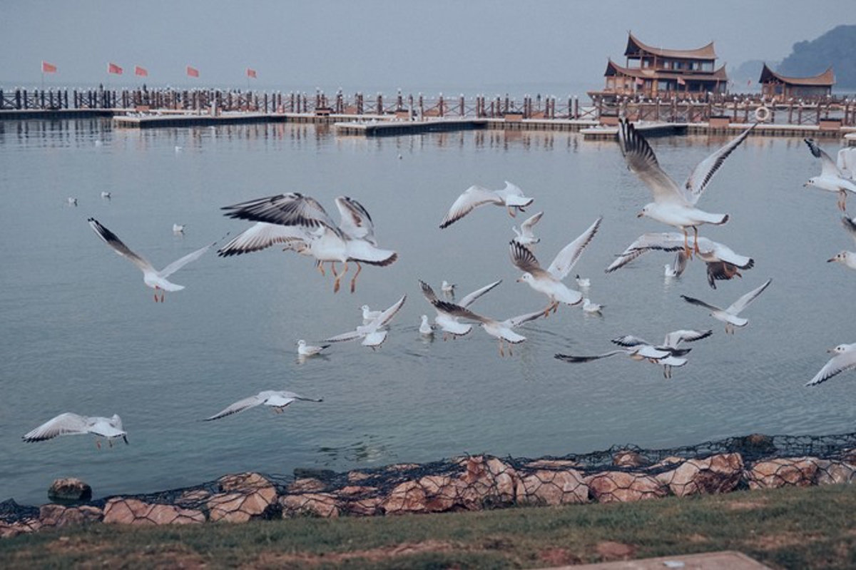 Cover image of Kunming Ancient Dian Kingdom