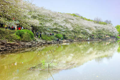 Hunan Provincial Botanical Garden
