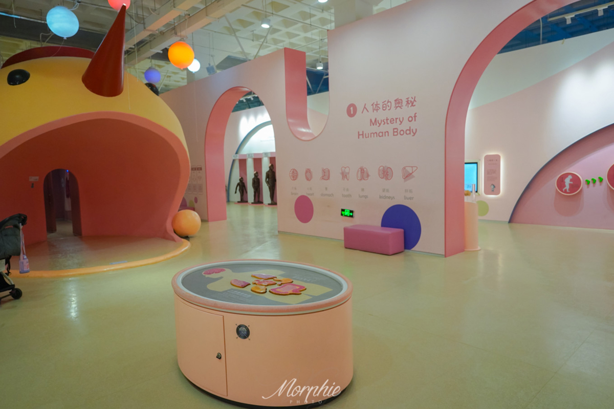 Space capsule experience