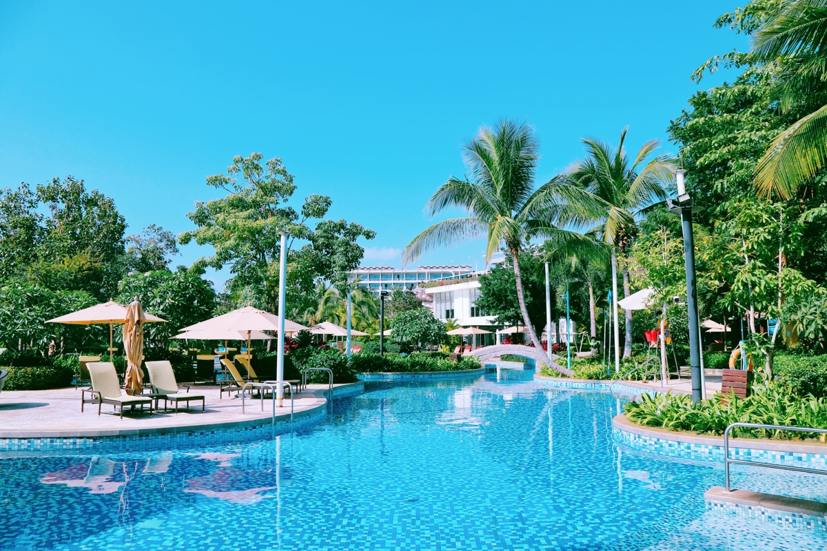 Pool area with palm trees