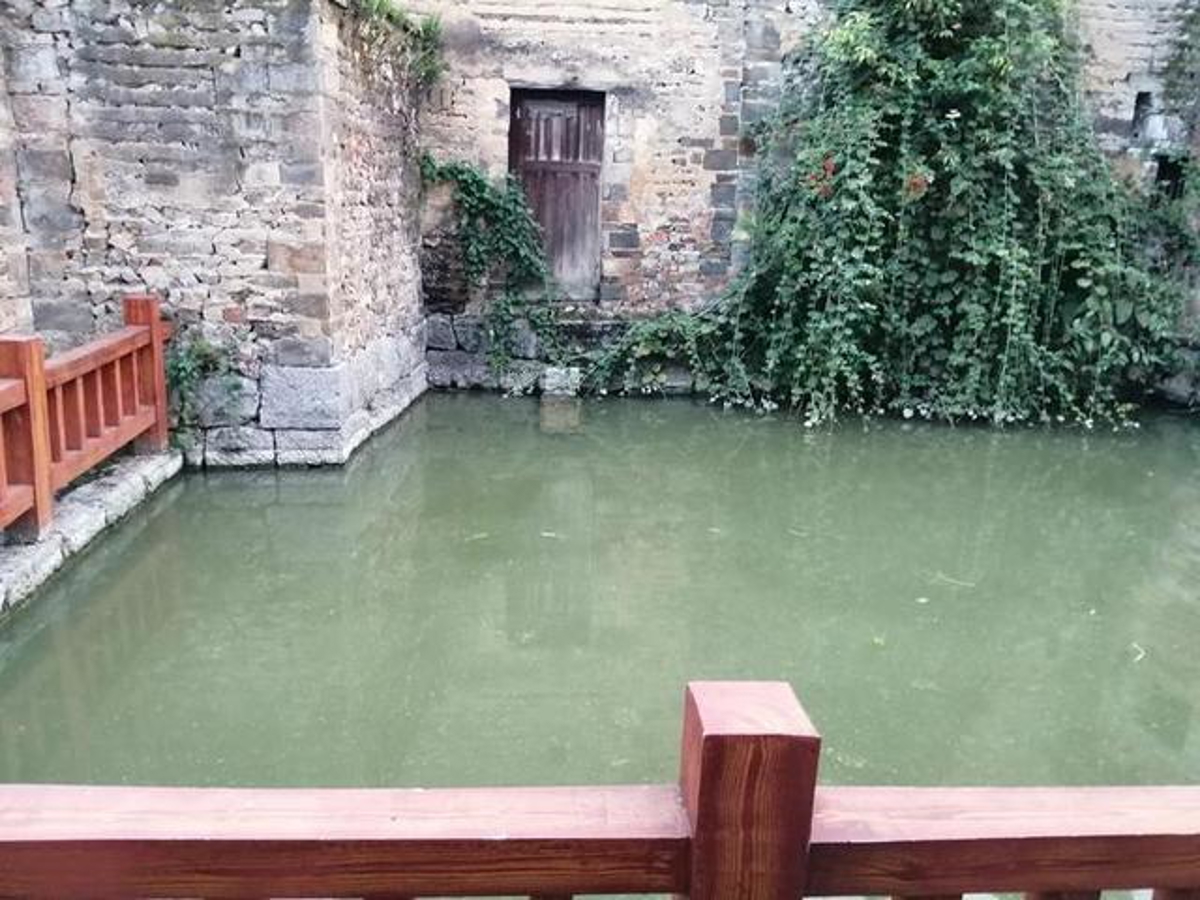 Wooden railing around the pond