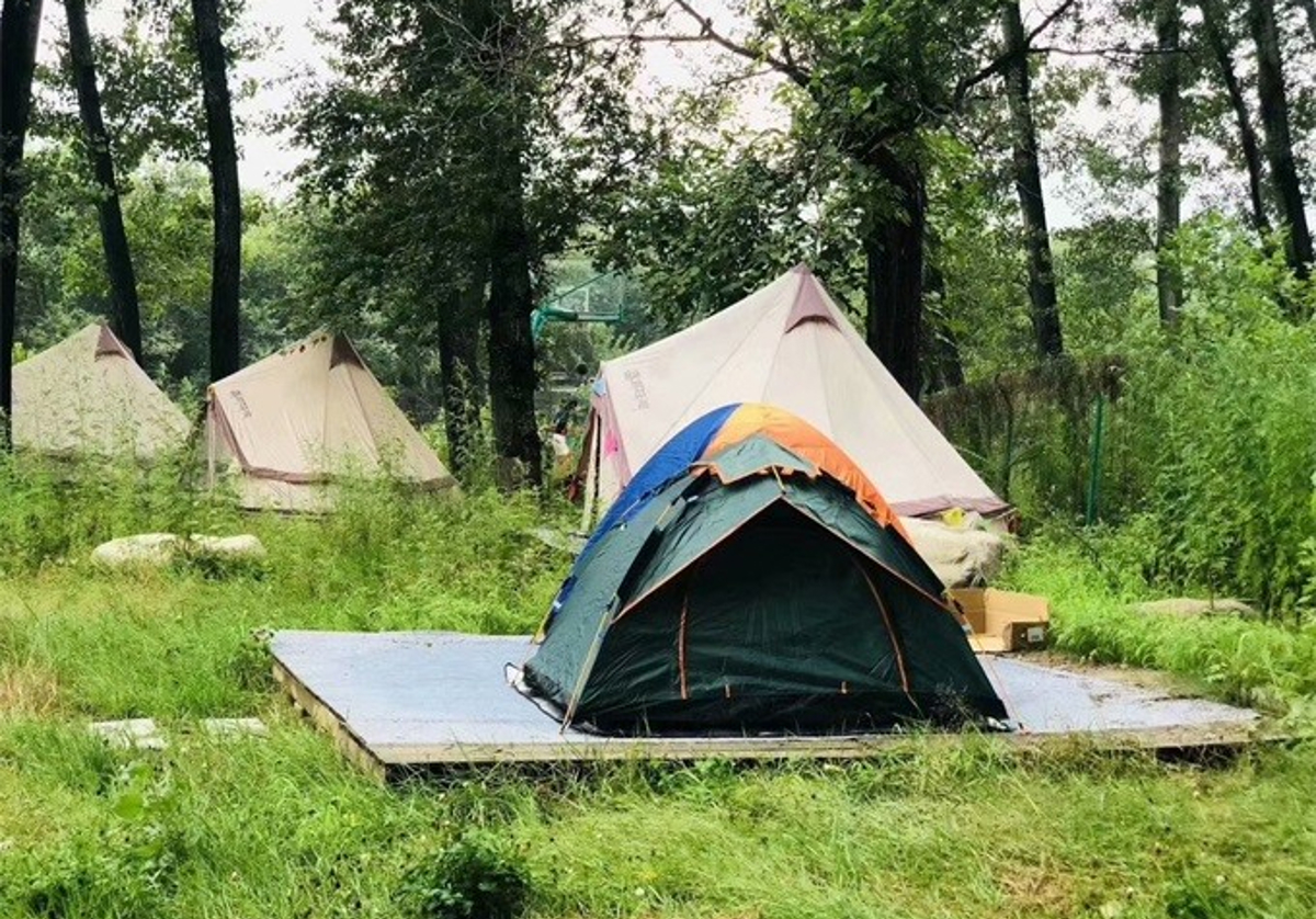 Clear mountain stream