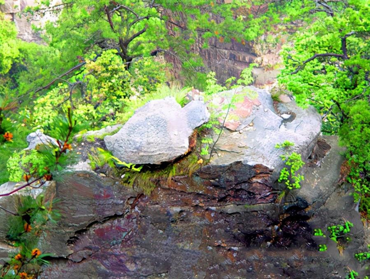 Turtle gazing at sea