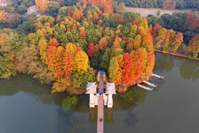 Luoyan Scenic Area, East Lake