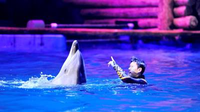 Dalian Laohutan Polar Ocean Animals World
