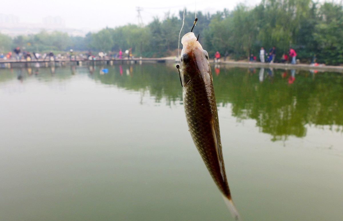 Climbing activities for kids