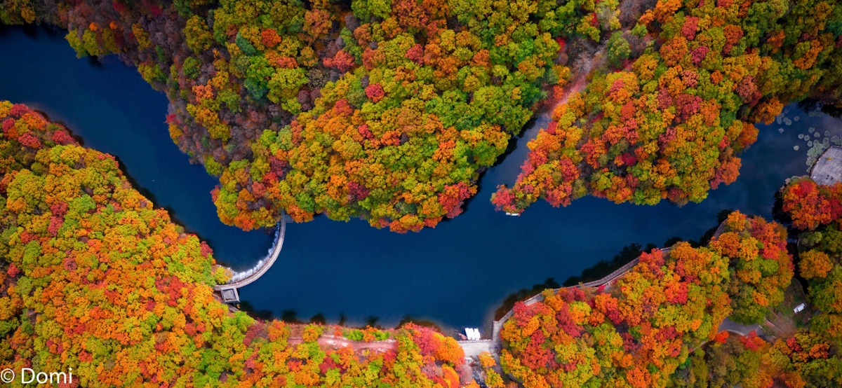 Autumn scenery at Baiyun Mountain