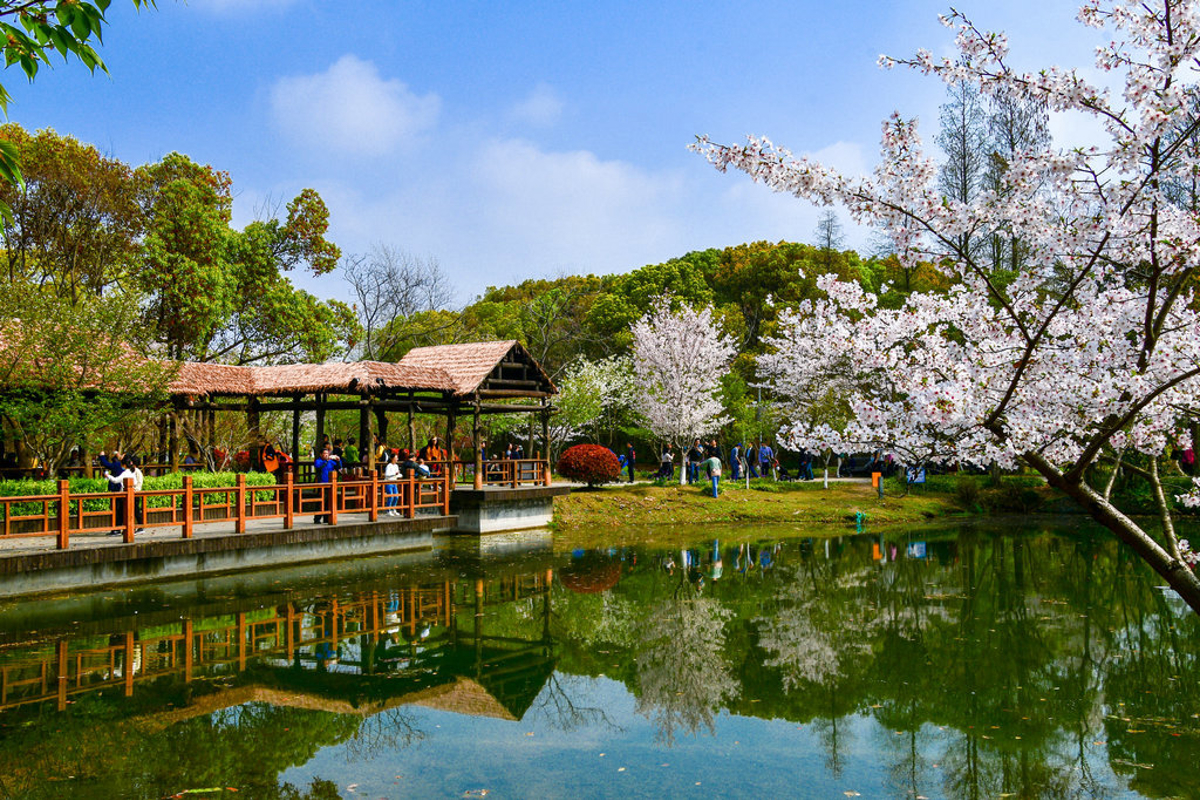 Viewing pavilion on Sakura Island