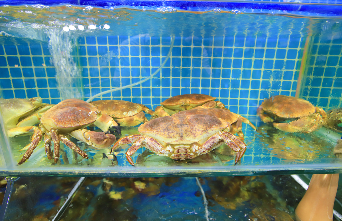 A Lang Seafood restaurant