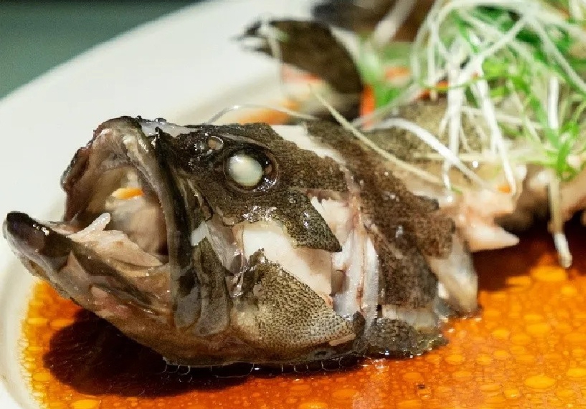 Fine dining presentation