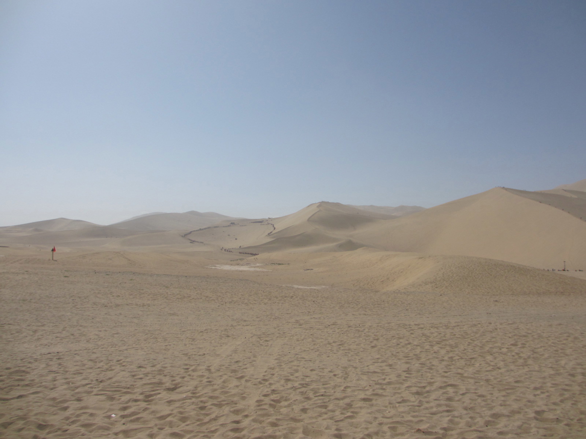 Sand dunes in afternoon light