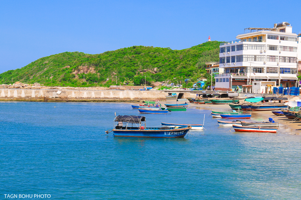 Fishing boats at Queen's Bay