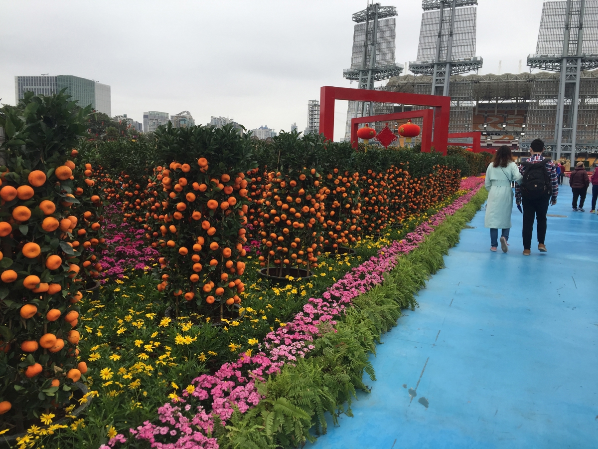 Huacheng Square gardens