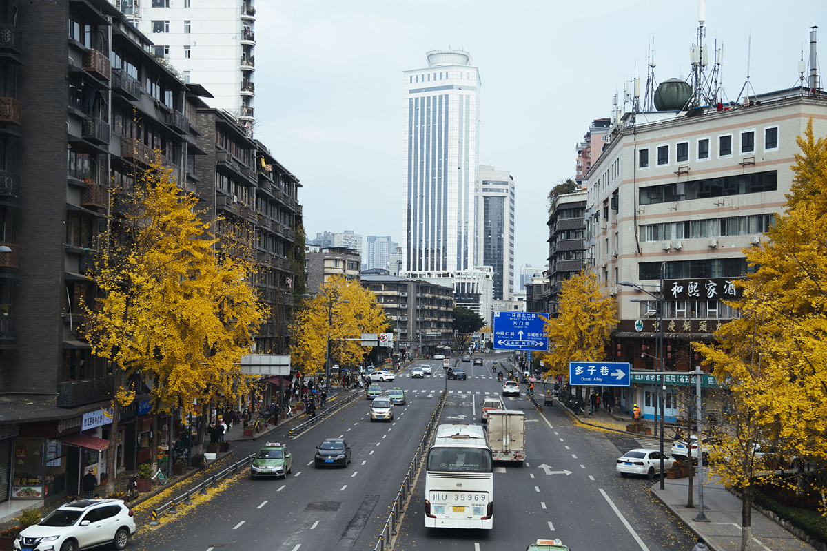 Historic courtyard architecture