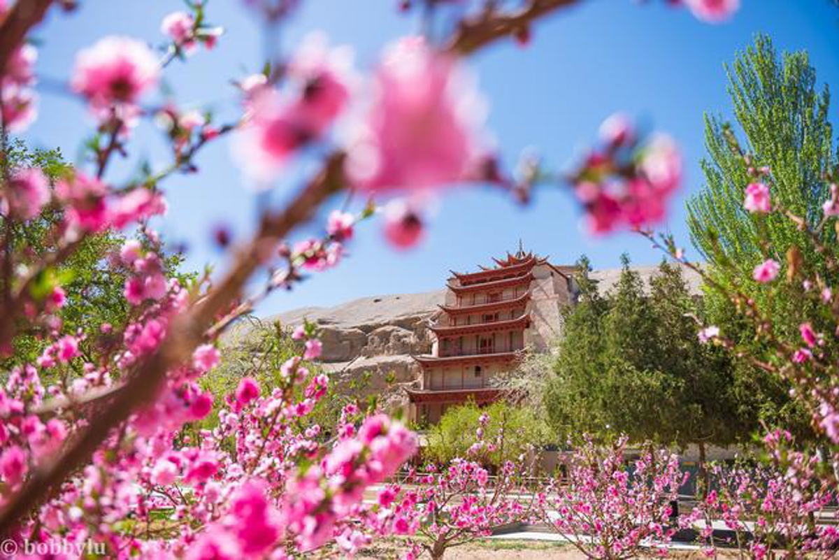 Replica cave exhibition