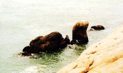 Taohua Island Scenic Area – Taohua Yu (Peach Blossom Gorge) Zone