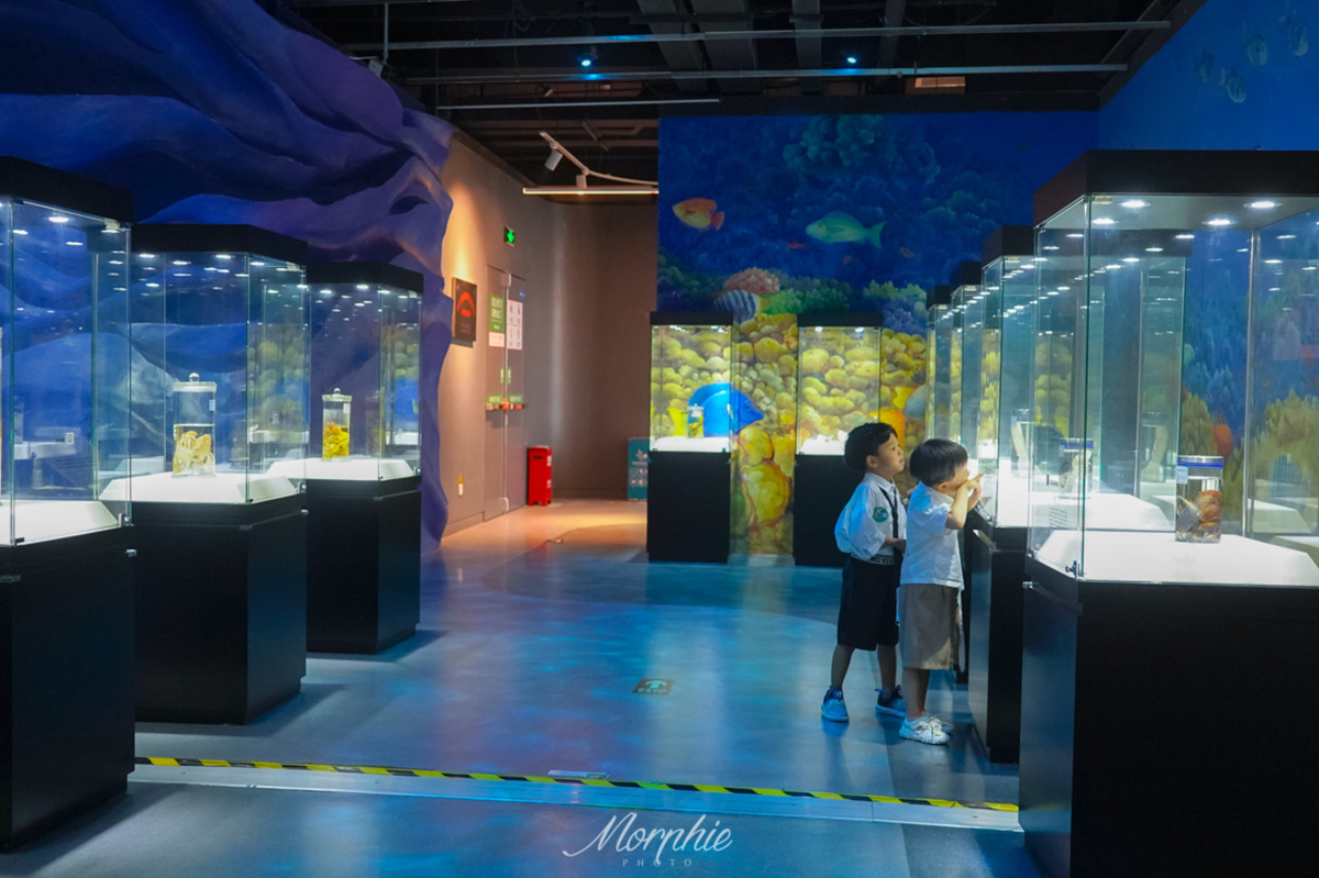 Educational displays