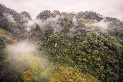 Mount Qingcheng Back Mountain