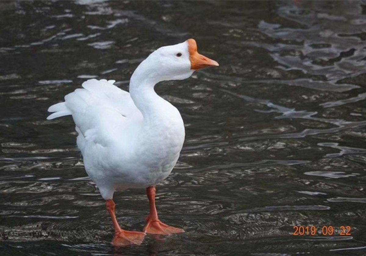 Waterfall in the scenic area