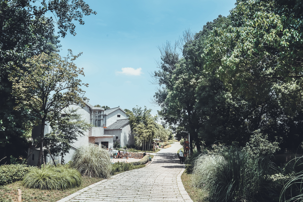 Treetop adventure course