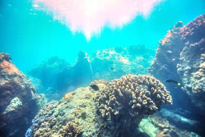 Wuzhizhou Island Diving