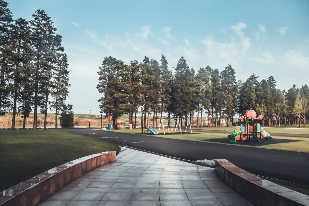 Bamboo raft in lotus pond