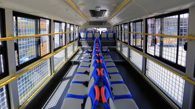 Northeast Tiger Forest Park