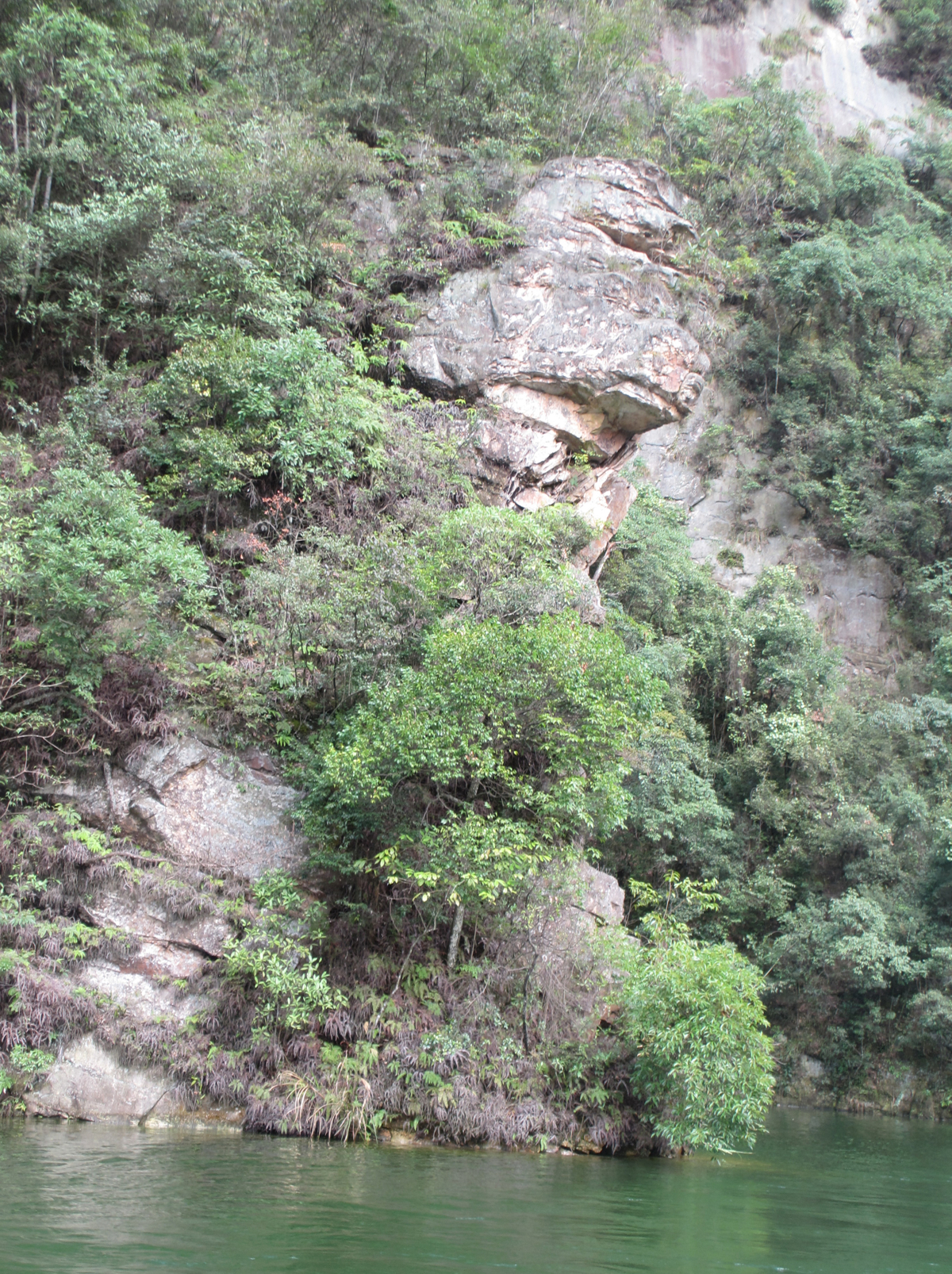 Half-faced pig rock formation