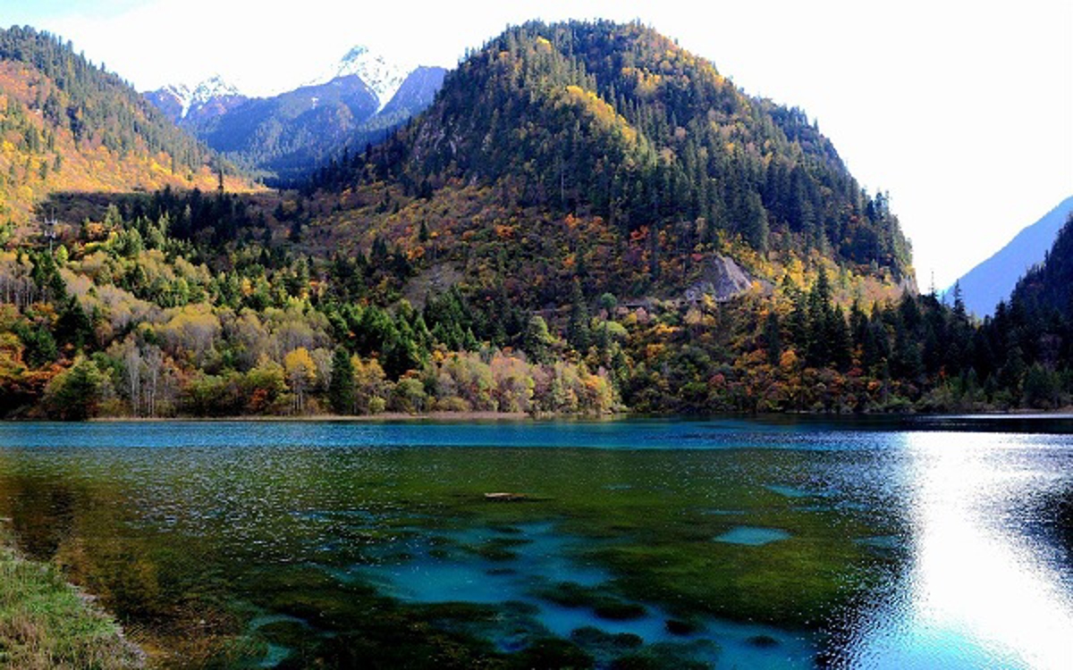 Group activities and team building