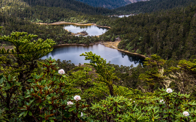 Laojun Mountain Scenic Area