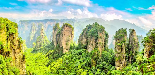 Zhangjiajie Wulingyuan Core Day Trip (Yuanjiajie + Golden Whip Stream + Ten-Mile Gallery)