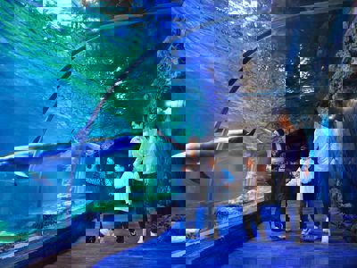 Zhengzhou Ocean Park