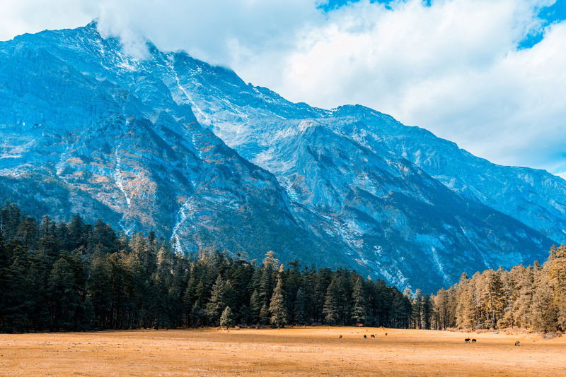 Jade Dragon Snow Mountain
