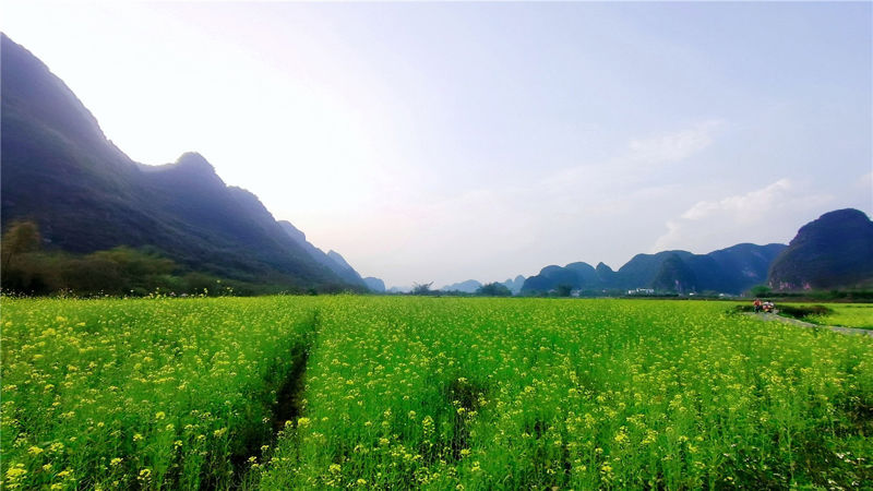 Yulong River Scenic Area