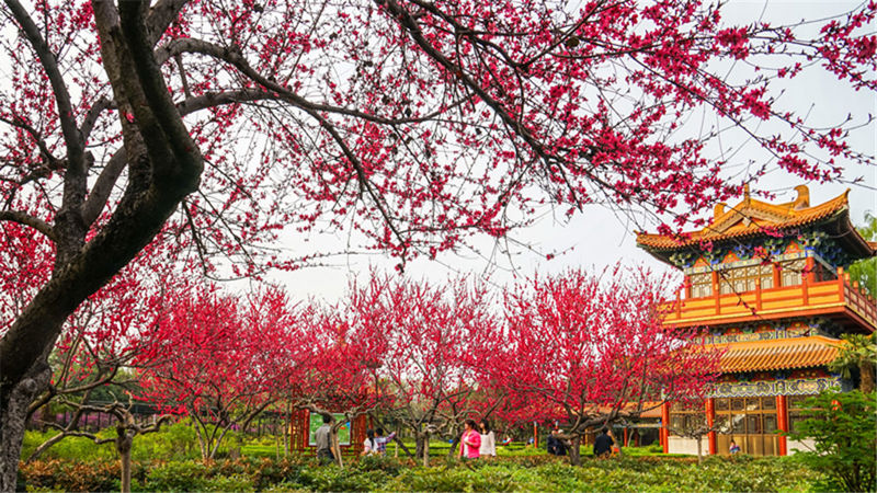 China National Peony Garden