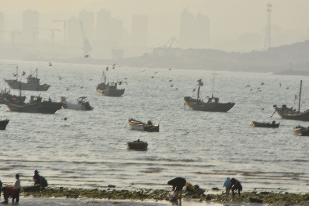 Qingdao West Coast: My Coastal Getaway with Seafood and Sea Breezes (2 Days)