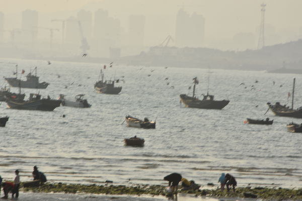 Qingdao West Coast: My Coastal Getaway with Seafood and Sea Breezes (2 Days)