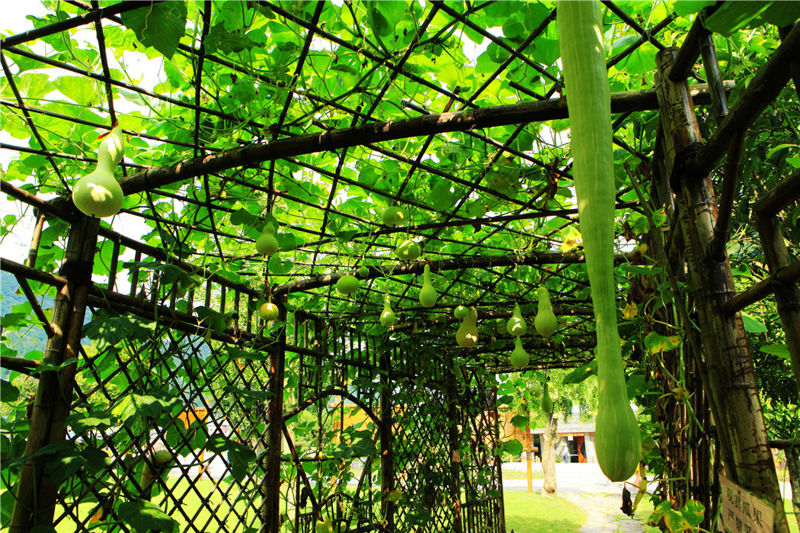 Huanglong Cave Scenic Area