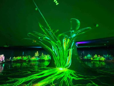 Shanghai Greenhouse Garden